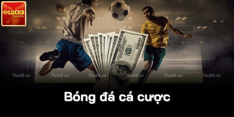 Bóng đá cá cược