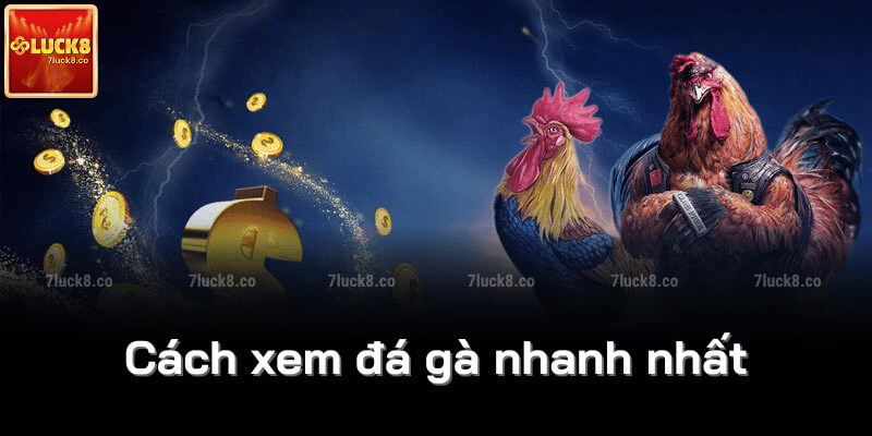 Cách xem đá gà nhanh nhất